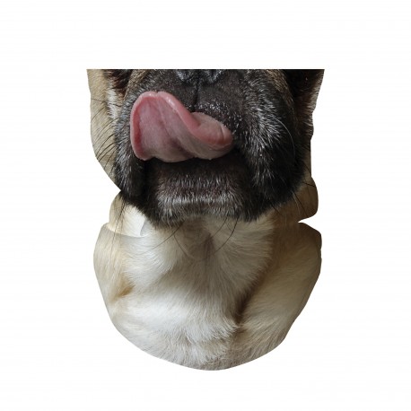 Bandana Pesante Pug